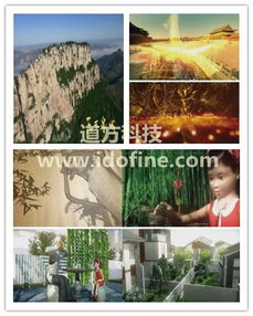 道方科技提供專(zhuān)業(yè)團(tuán)隊(duì)優(yōu)質(zhì)影視制作服務(wù)